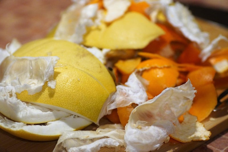 Composting Basics