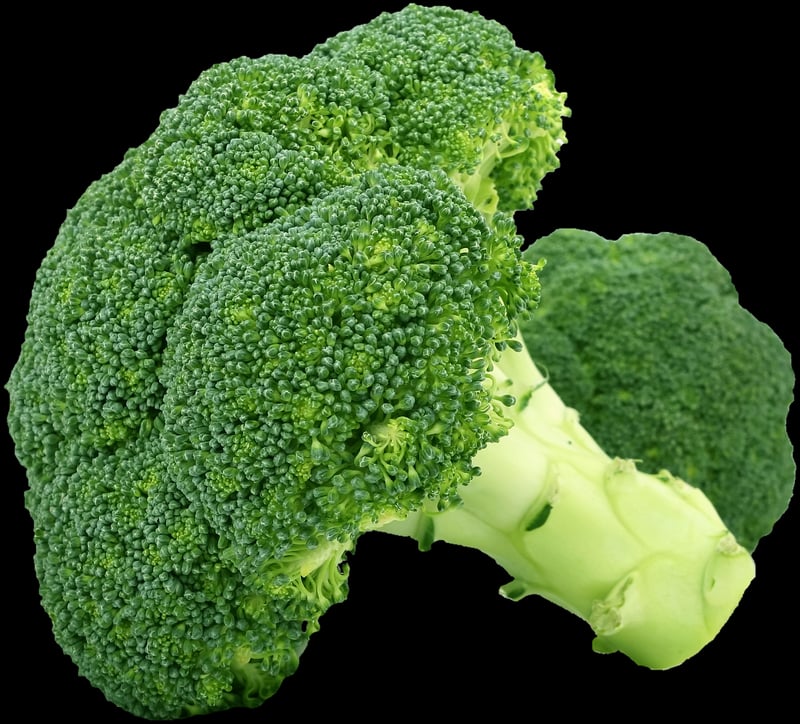 Container Vegetables