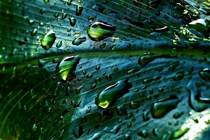 Rainwater harvesting tank